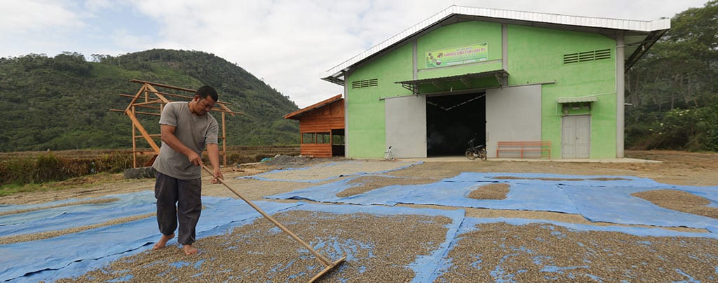 סינגל אוריג'ן מהודו