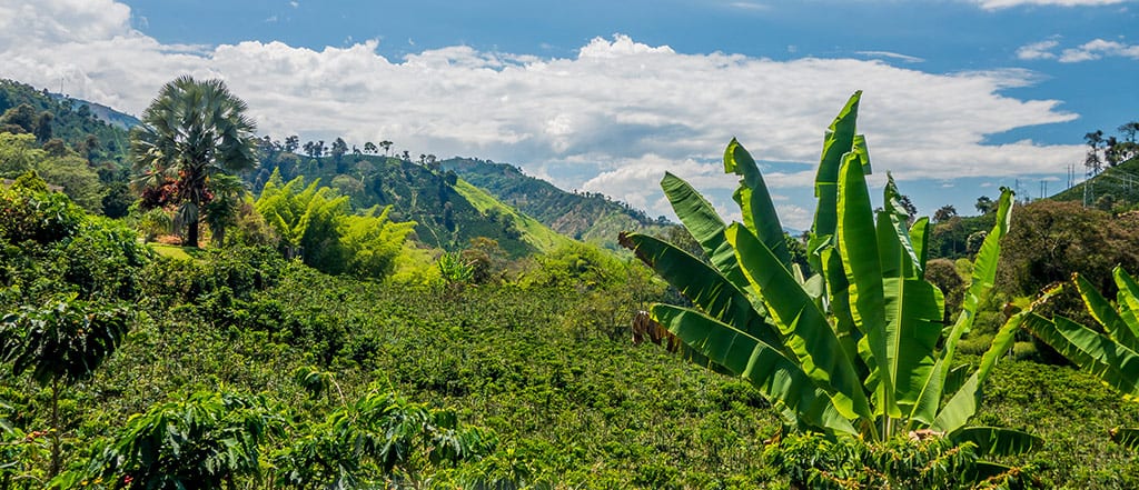 קולומביה נוף
