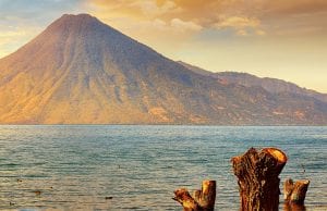 ללגום קפה אורגני משובח בגוואטמלה