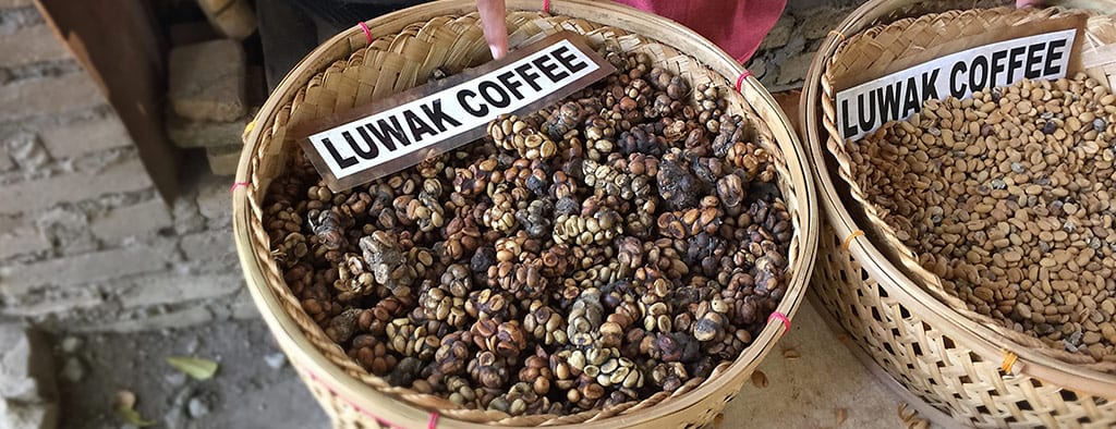 סוגי קפה באינדונזיה