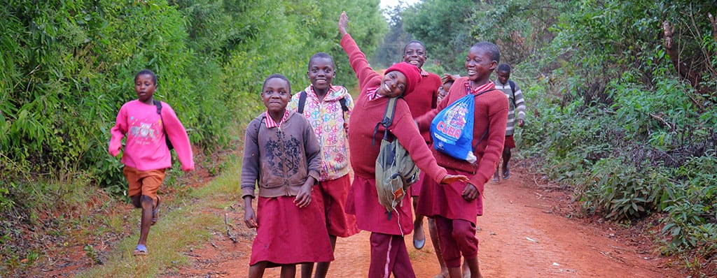 זימבבואה נוף מקומי