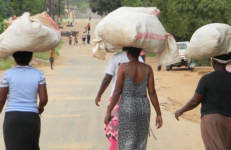 סיפור הקפה של זימבבואה