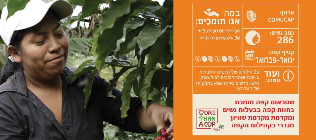 נתוני הונדורס