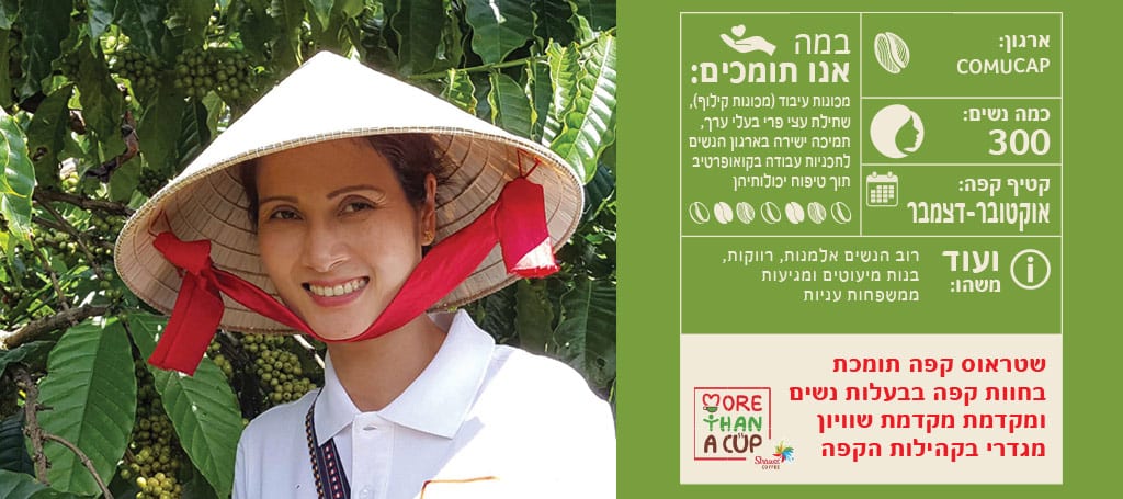 נתוני וייטנאם