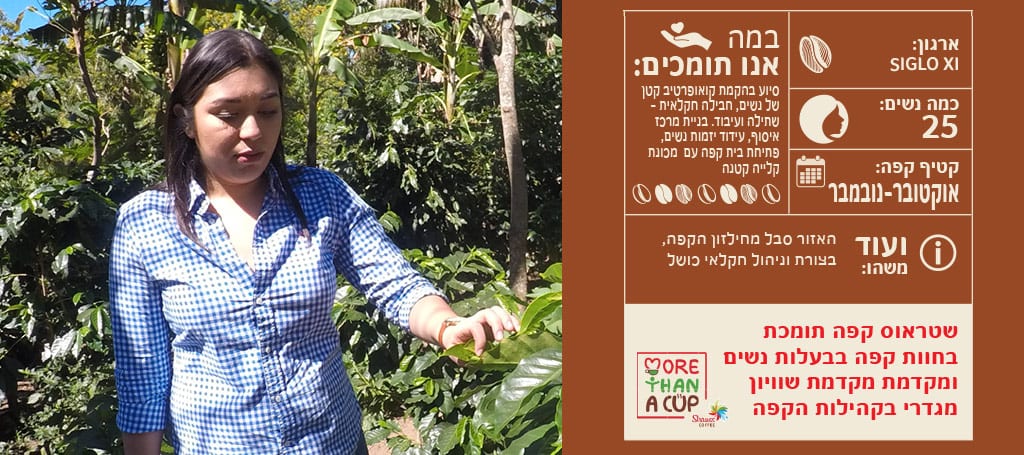 נתוני אל סלבדור