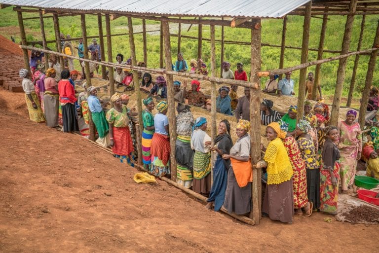 מה אתם יודעים על כוס הקפה שאתם שותים?
